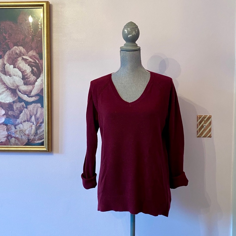 Gap v neck sweater. Nylon/Xtra fine Marino wool/acrylic. Machine wash-gentle.